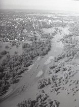 Negative, Sheet Film