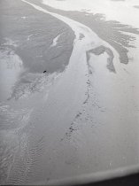 Negative, Sheet Film