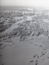 Negative, Sheet Film