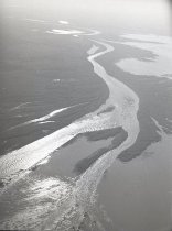 Negative, Sheet Film