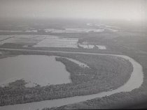 Negative, Sheet Film