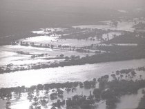 Negative, Sheet Film