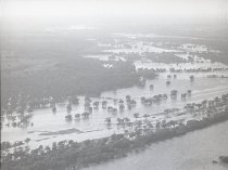 Negative, Sheet Film