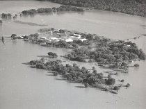 Negative, Sheet Film