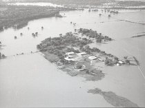 Negative, Sheet Film