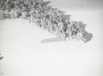 Negative, Sheet Film