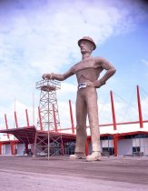 Negative, Sheet Film