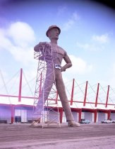 Negative, Sheet Film