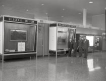 Negative, Sheet Film