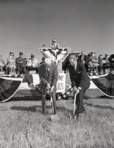 Negative, Sheet Film