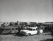 Negative, Sheet Film