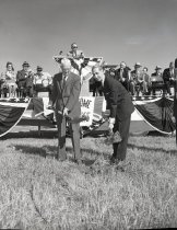 Negative, Sheet Film