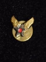 Pin, Military