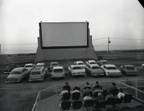 Negative, Sheet Film