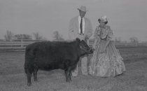 Negative, Sheet Film