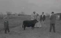 Negative, Sheet Film