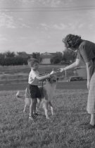 Negative, Sheet Film