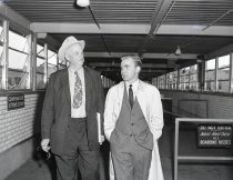 Negative, Sheet Film