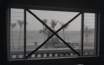 Negative, Sheet Film