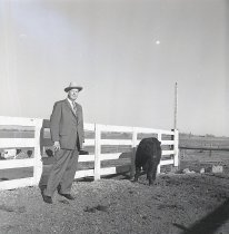 Negative, Sheet Film