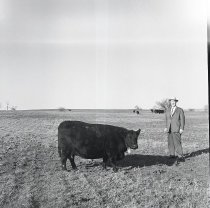 Negative, Sheet Film