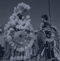 Negative, Sheet Film