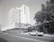 Negative, Sheet Film