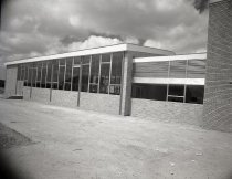 Negative, Sheet Film