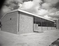 Negative, Sheet Film