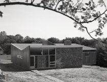 Negative, Sheet Film