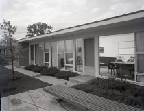 Negative, Sheet Film