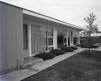 Negative, Sheet Film