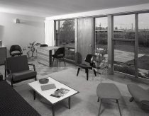 Negative, Sheet Film