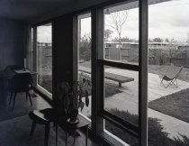 Negative, Sheet Film