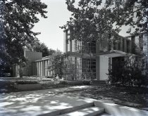 Negative, Sheet Film