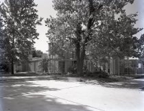 Negative, Sheet Film