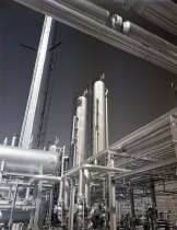 Negative, Sheet Film