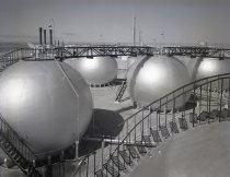 Negative, Sheet Film