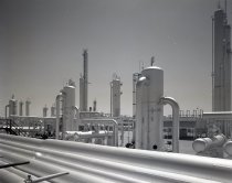 Negative, Sheet Film