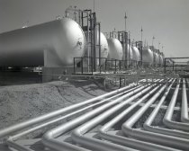 Negative, Sheet Film