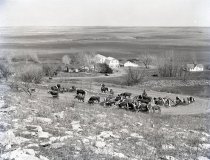 Negative, Sheet Film