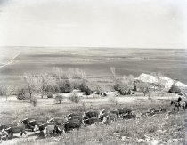 Negative, Sheet Film