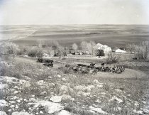 Negative, Sheet Film