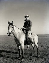 Negative, Sheet Film