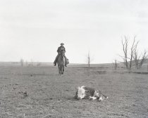 Negative, Sheet Film