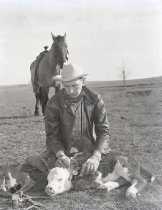 Negative, Sheet Film