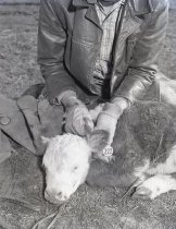 Negative, Sheet Film