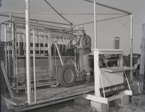 Negative, Sheet Film