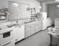 Negative, Sheet Film