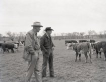 Negative, Sheet Film